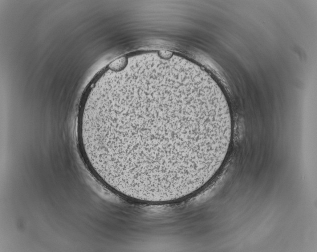 X0000112071130200909011017