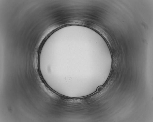 X0000112071131200909011017