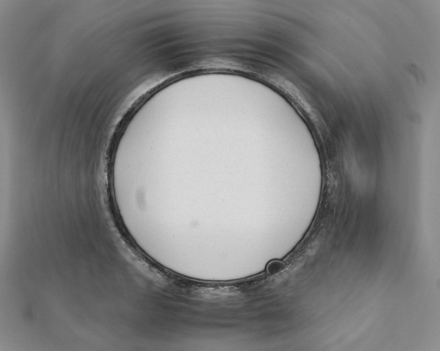 X0000112071133200909011017
