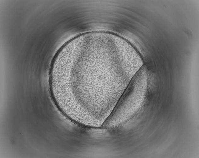 X0000112071134200909011017