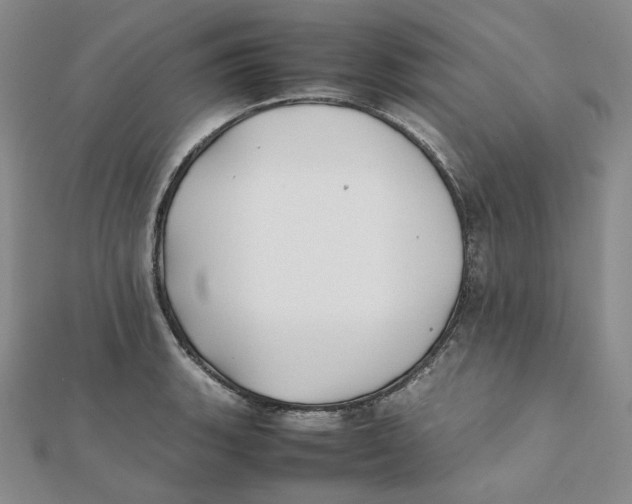 X0000112071135200909011017