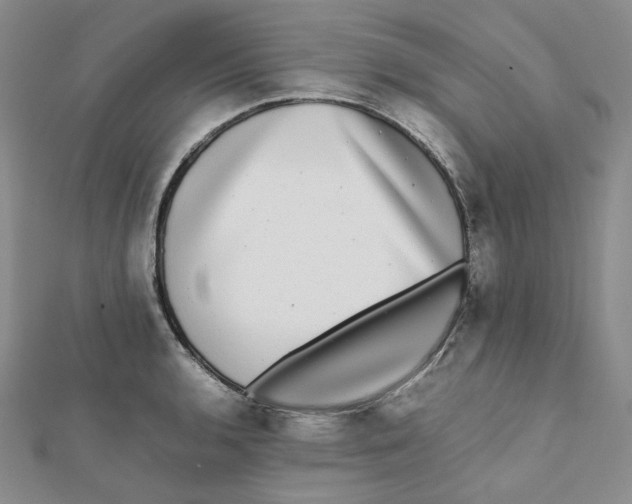 X0000112071136200909011017