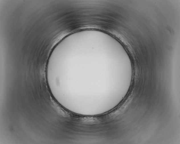 X0000112071137200909011017