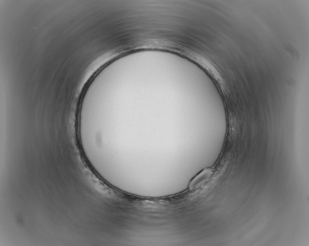 X0000112071138200909011017