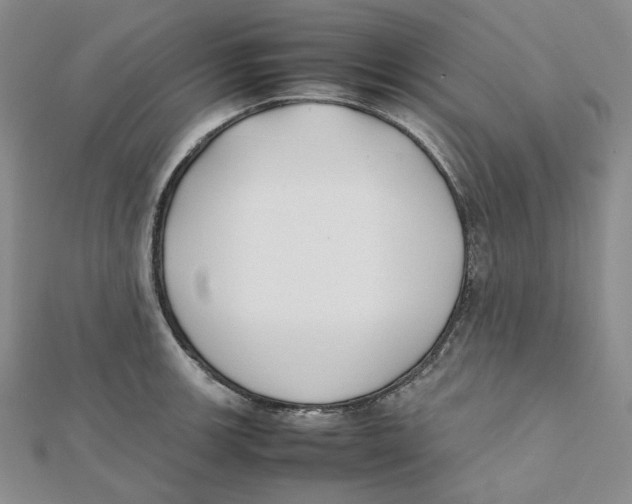 X0000112071139200909011017