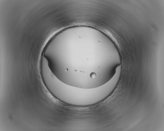 X0000112071140200909011017