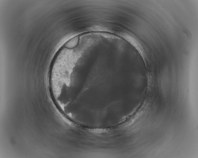 X0000112071141200909011017