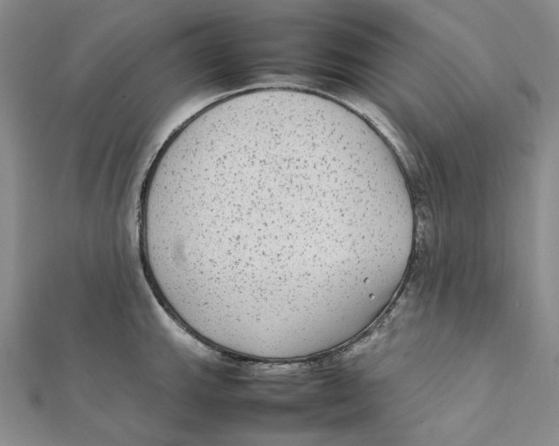 X0000112071143200909011017
