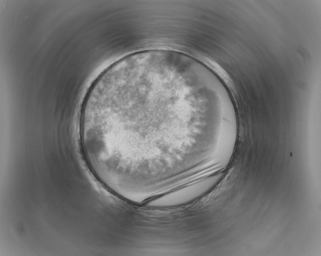X0000112071144200909011017
