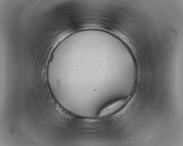X0000112071145200909011017