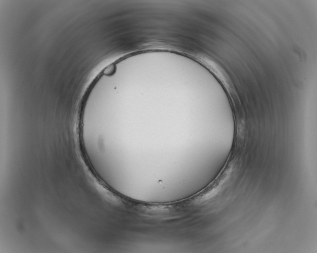X0000112071149200909011017