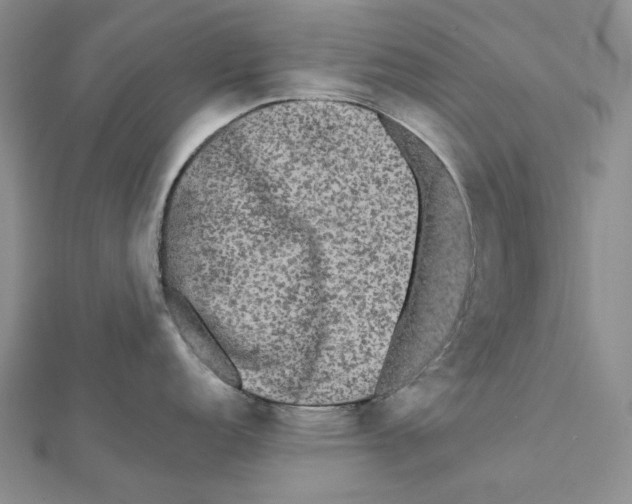 X0000112071152200909011017