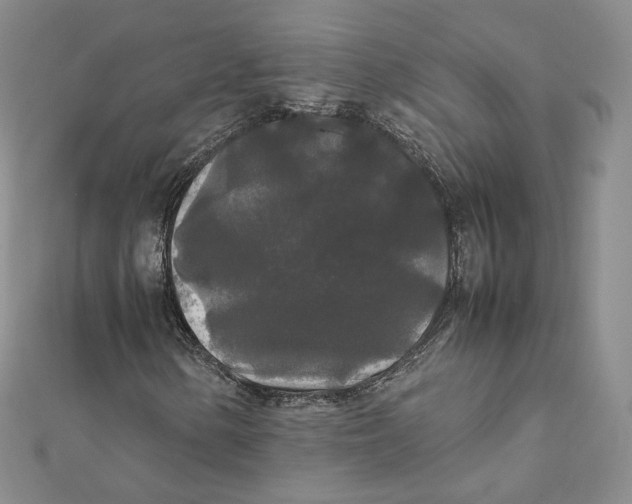 X0000112071154200909011017