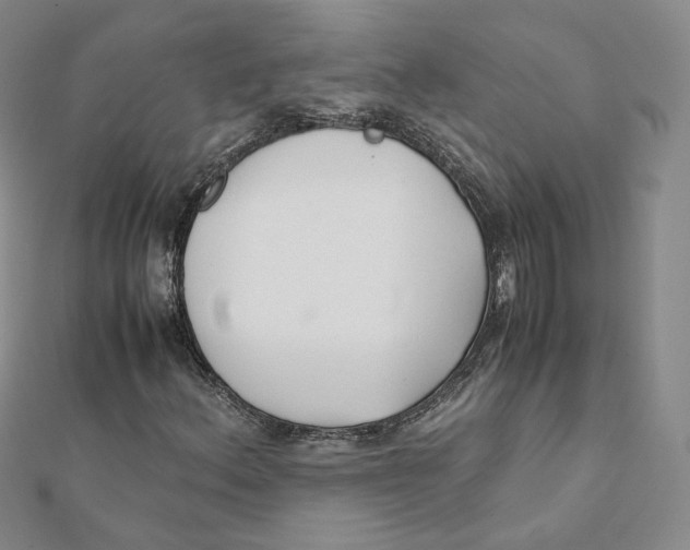 X0000112071156200909011017