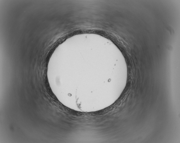 X0000112071157200909011017