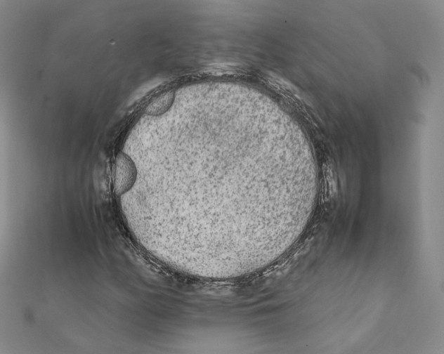 X0000112071158200909011017