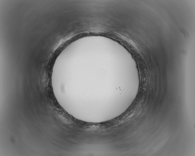 X0000112071160200909011017