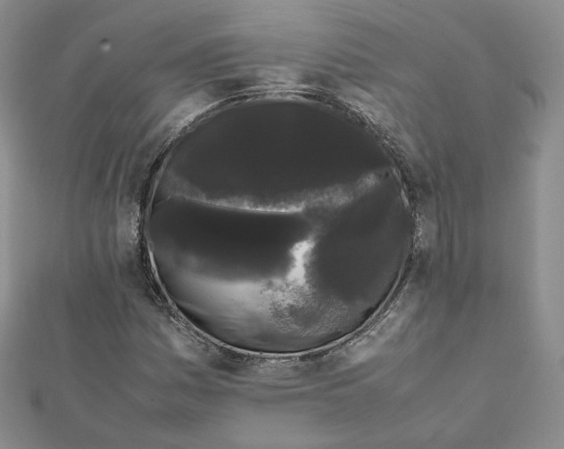 X0000112071161200909011017
