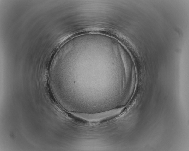 X0000112071169200909011017