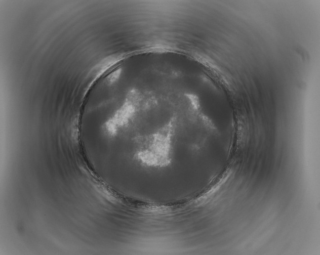 X0000112071170200909011017