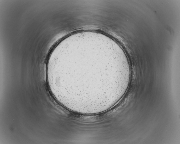 X0000112071171200909011017