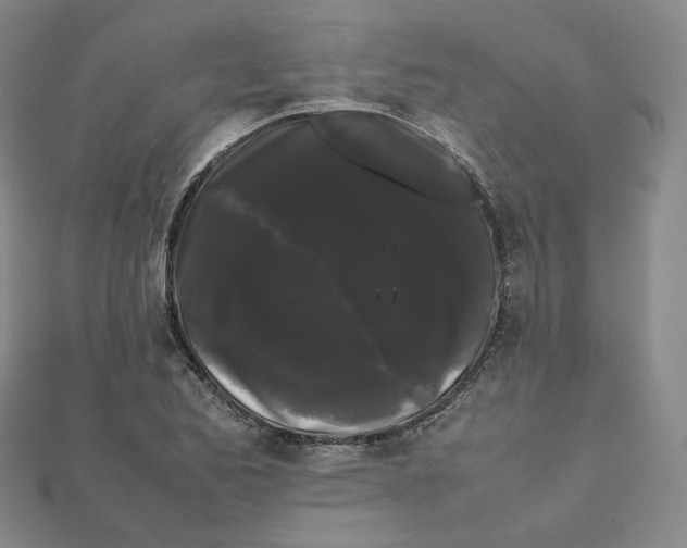 X0000112071173200909011017