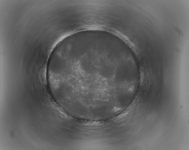 X0000112071174200909011017