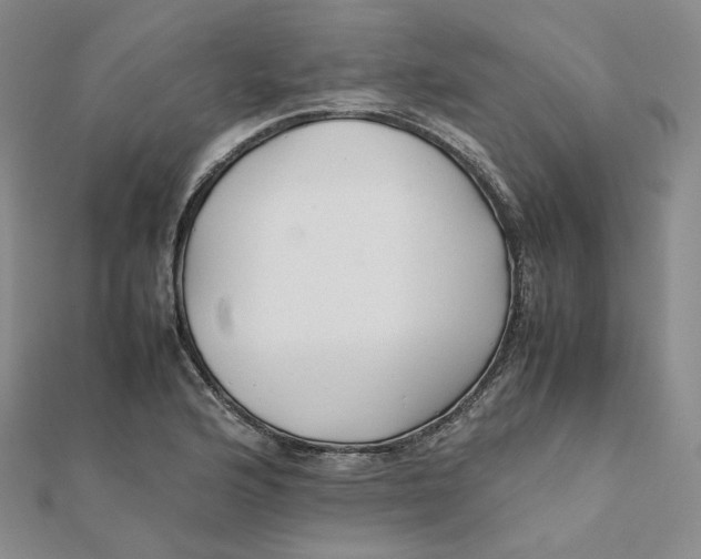 X0000112071176200909011016