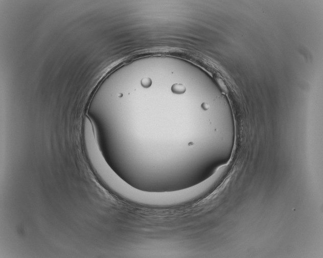 X0000112071177200909011016