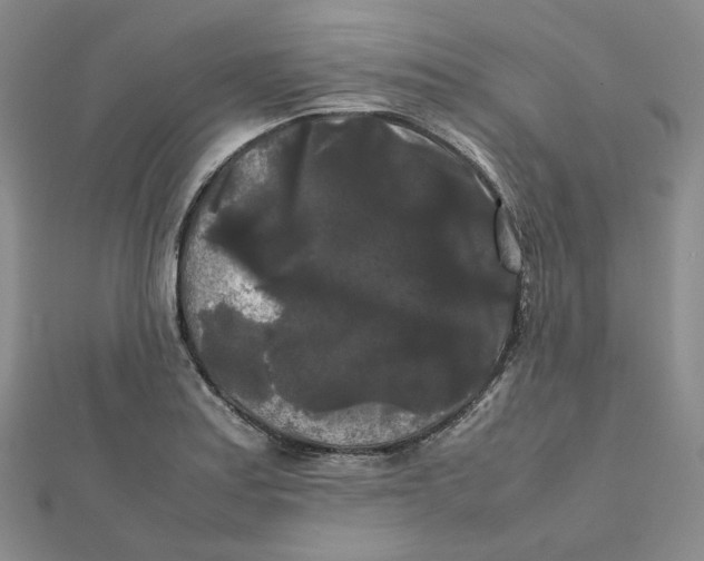 X0000112071179200909011016