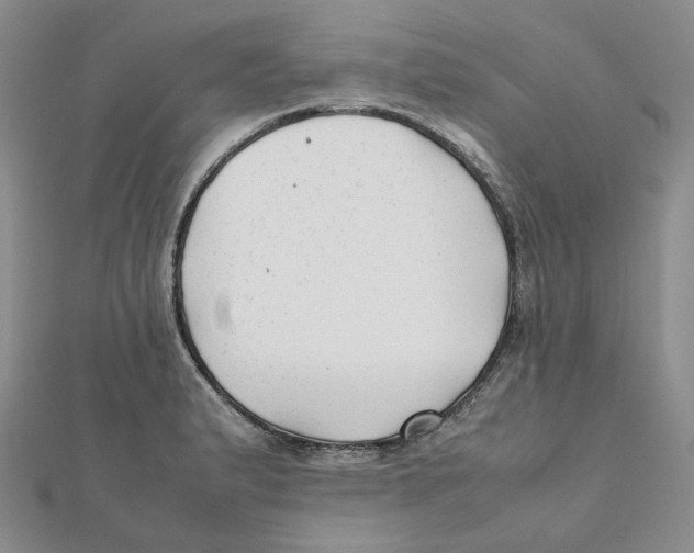X0000112071183200909011016