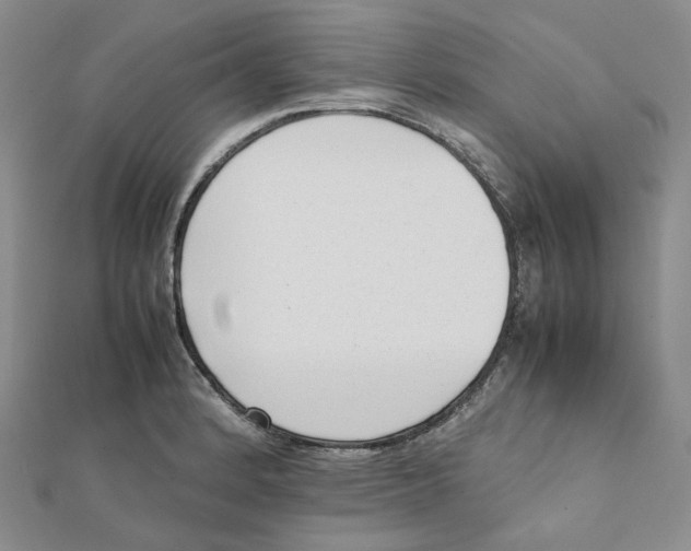 X0000112071184200909011016