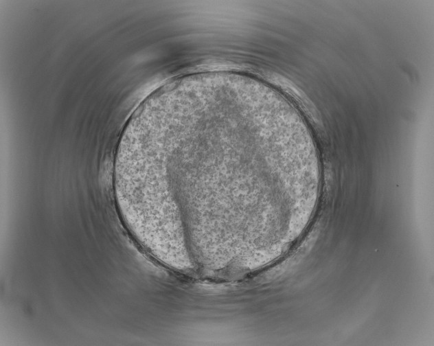 X0000112071185200909011016