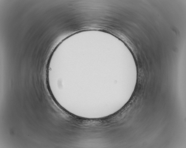 X0000112071187200909011016