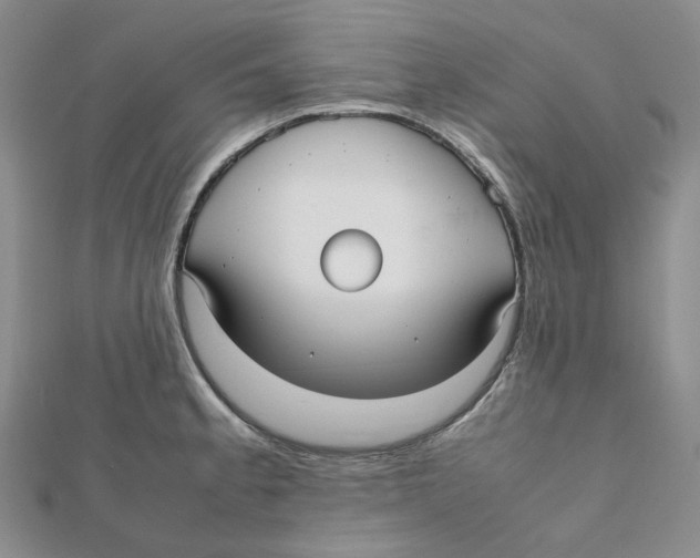 X0000112071189200909011016