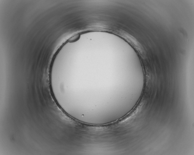 X0000112071192200909011016