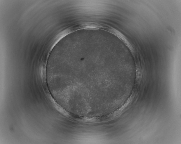 X0000112071194200909011016