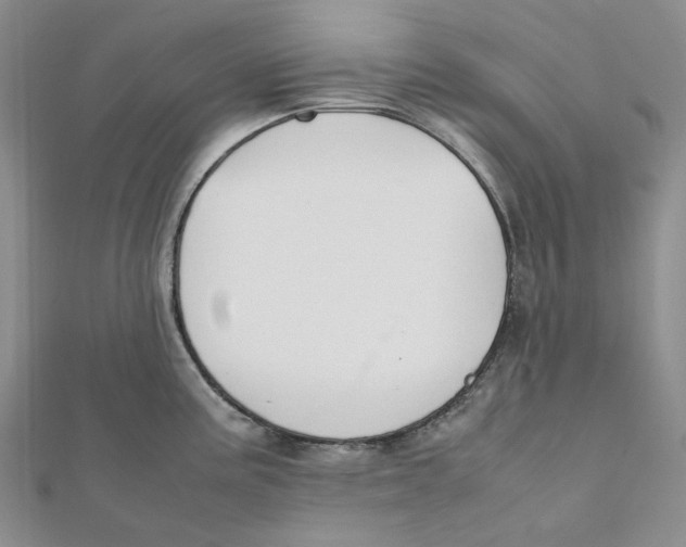 X0000112071195200909011016
