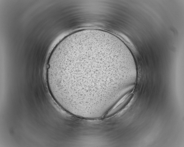 X0000112071196200909011016