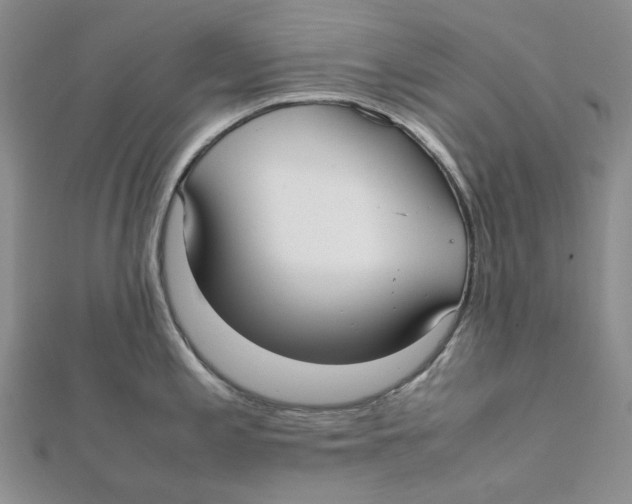X0000112071197200909011016