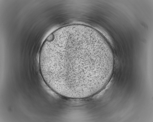 X0000112071198200909011016