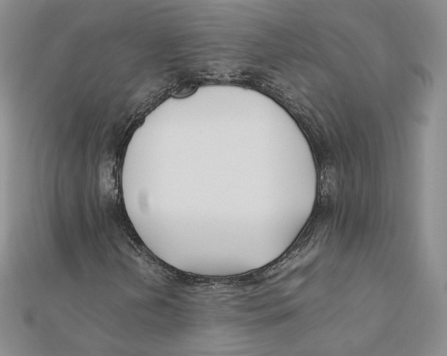 X0000112071202200909011016