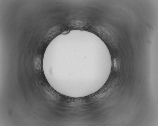 X0000112071203200909011016