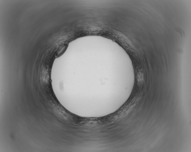X0000112071204200909011016