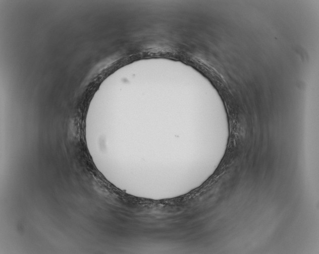 X0000112071207200909011016