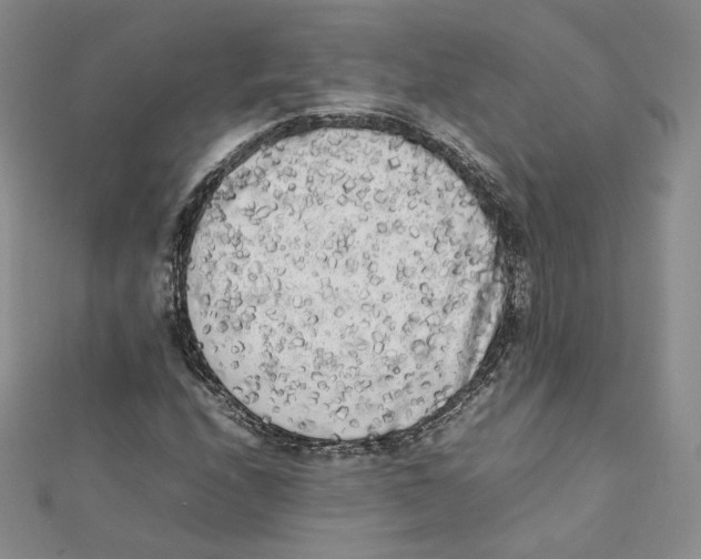 X0000112071208200909011016