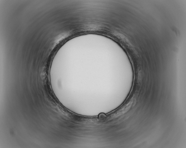 X0000112071210200909011016