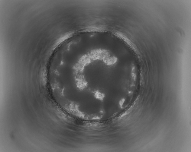 X0000112071213200909011016