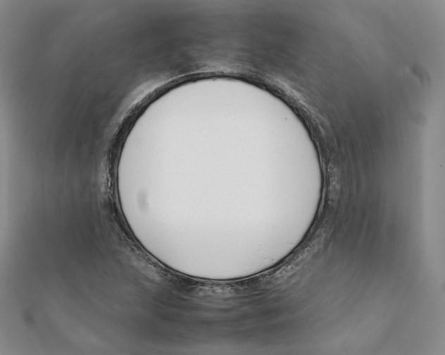 X0000112071215200909011016