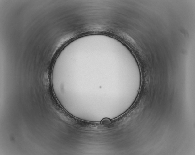 X0000112071218200909011016